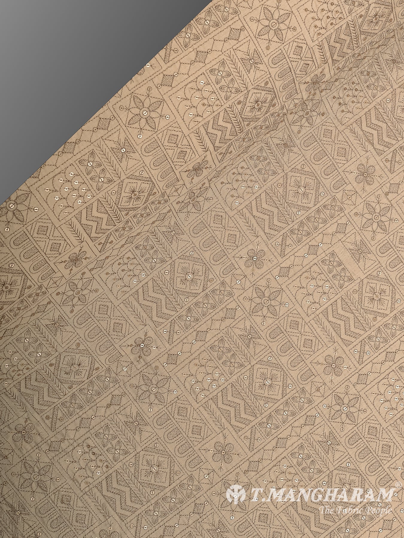 Beige Semi Raw Silk Fabric - EC12484