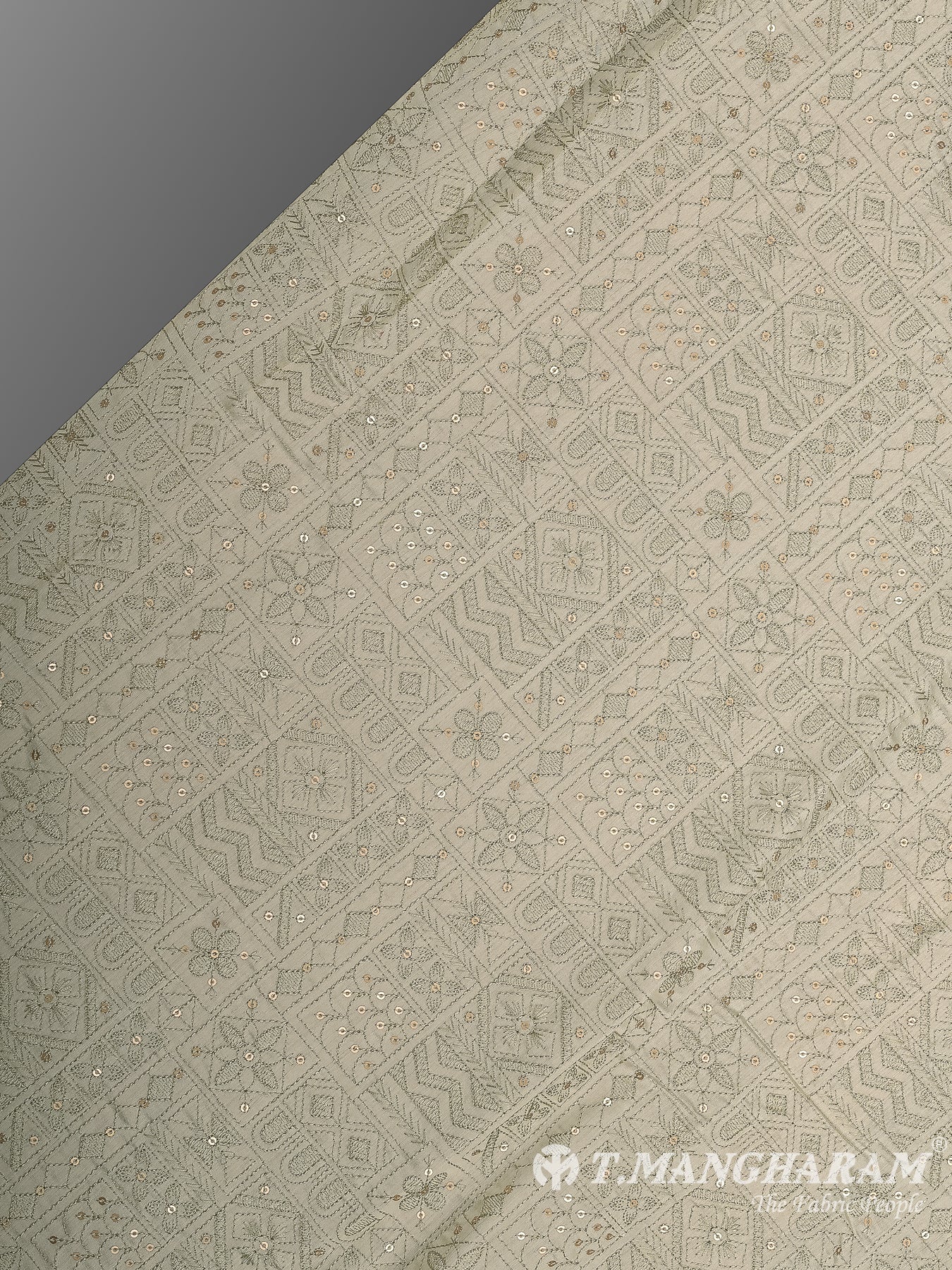 Beige Semi Raw Silk Fabric - EC12483