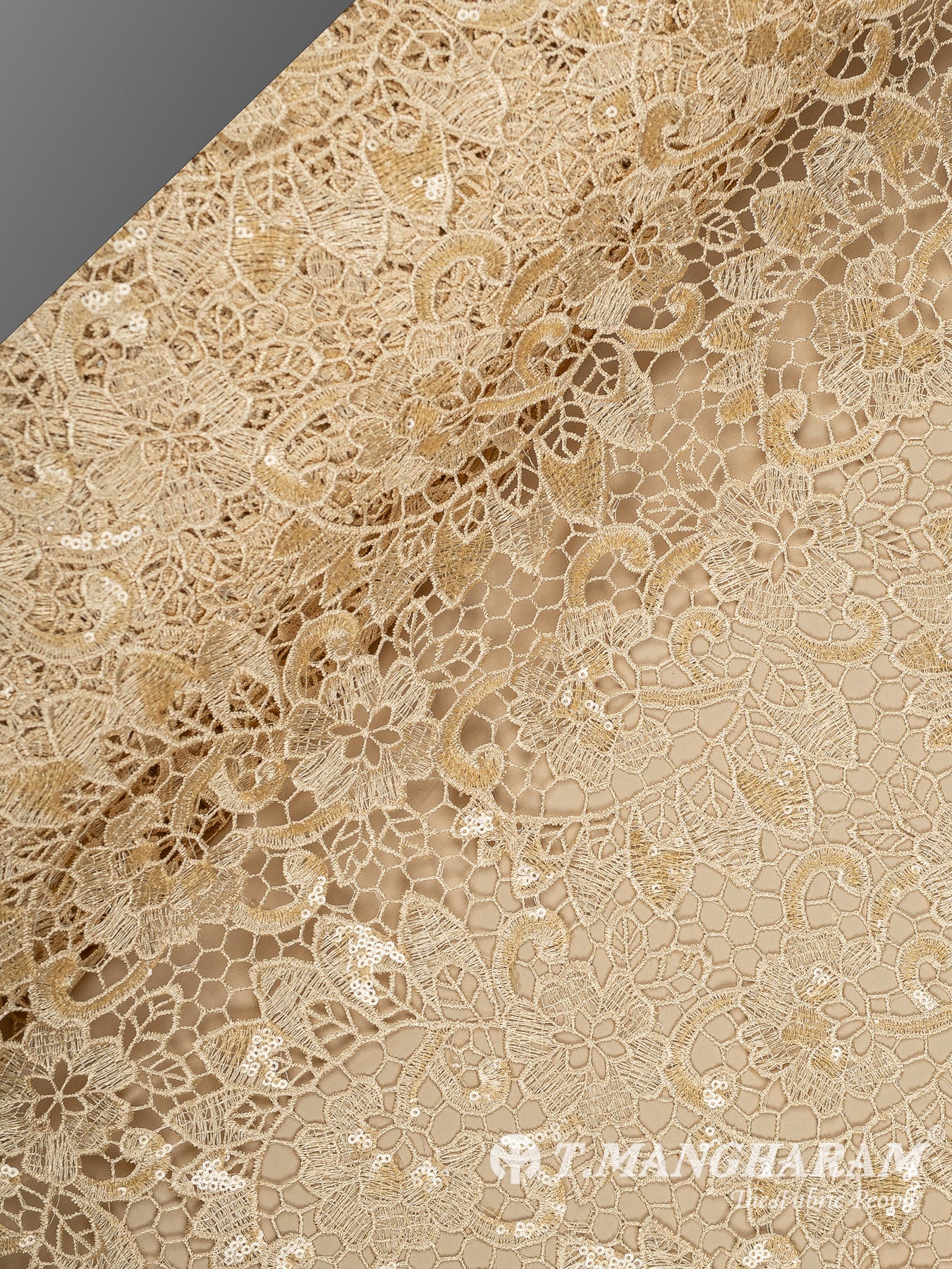 Beige Net Fabric - EC13537