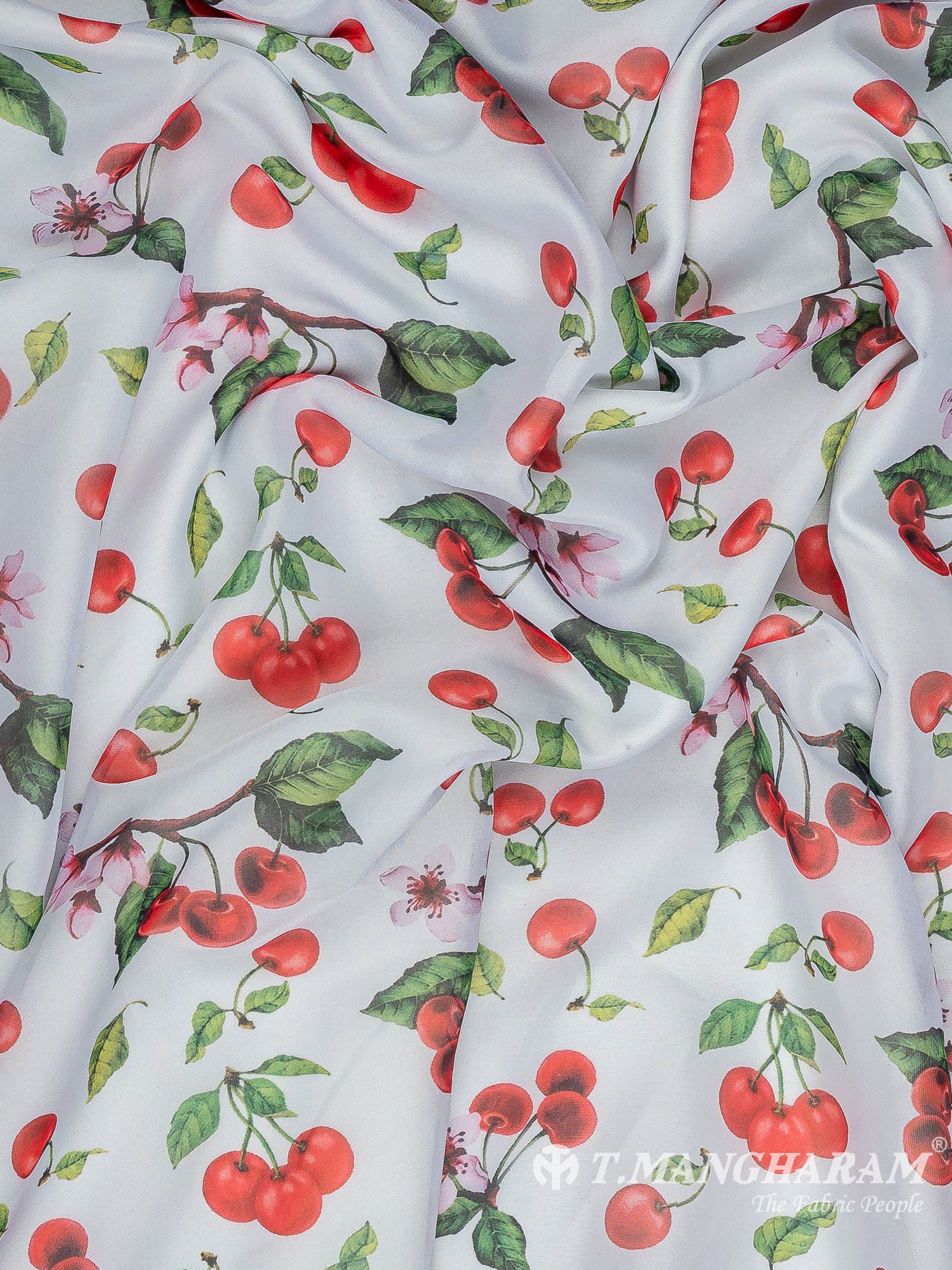 White Organza Fabric - EC11204