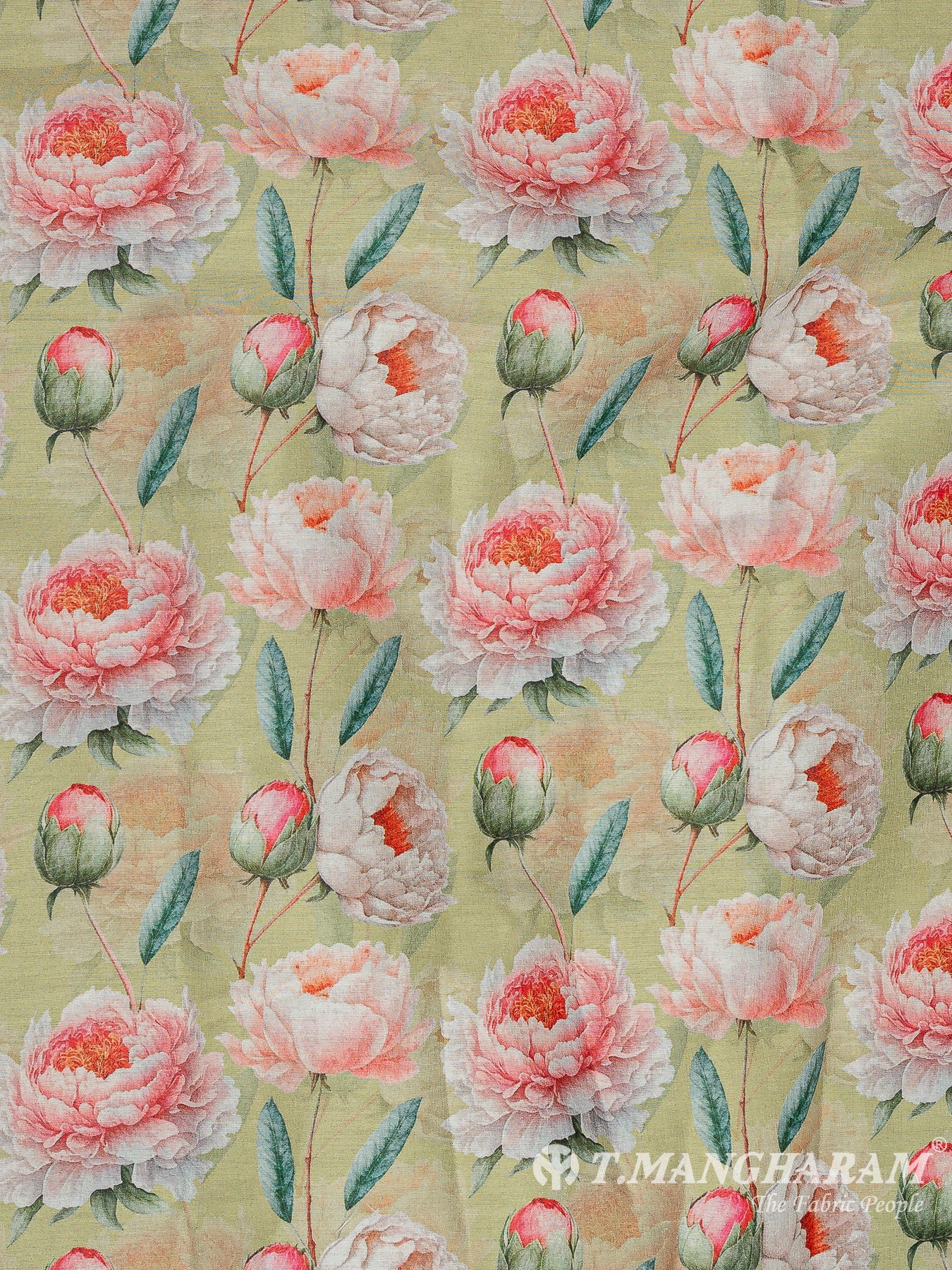 Green Cotton Fabric - EC11696