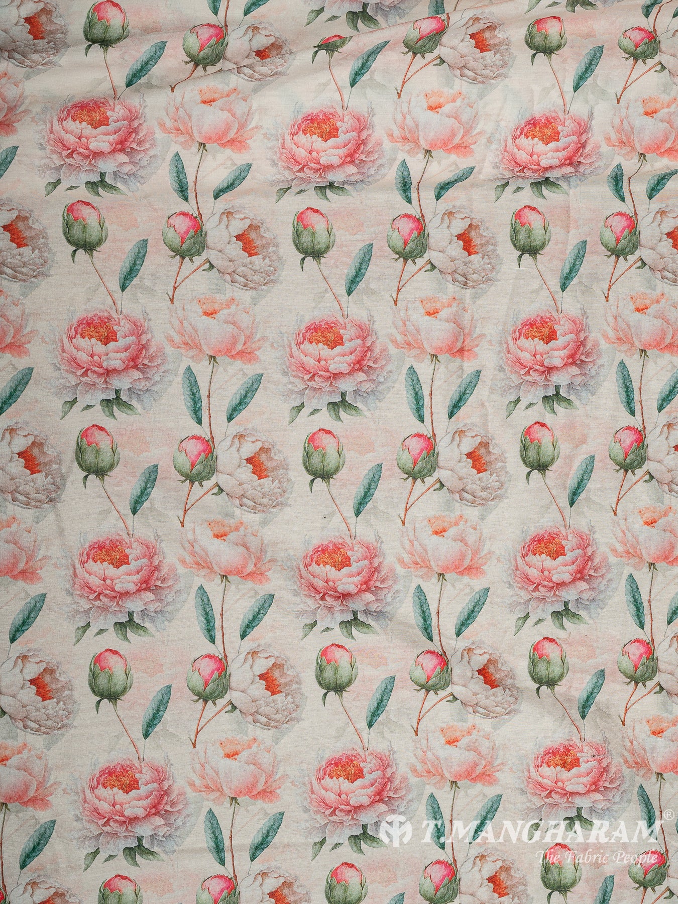 Cream Cotton Fabric - EC11702