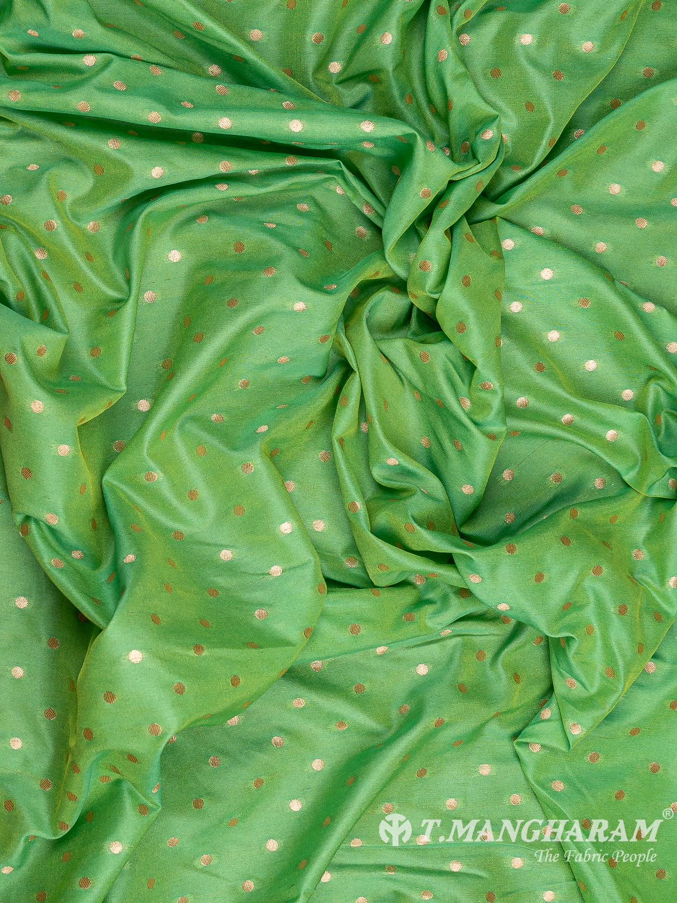 Green Banaras Fabric - EC11943