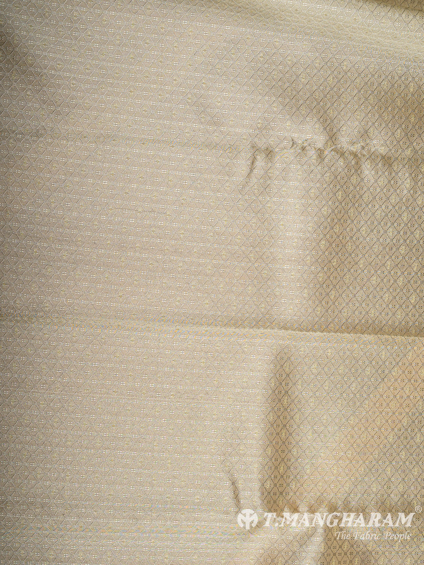 Beige Banaras Fabric - EC12063