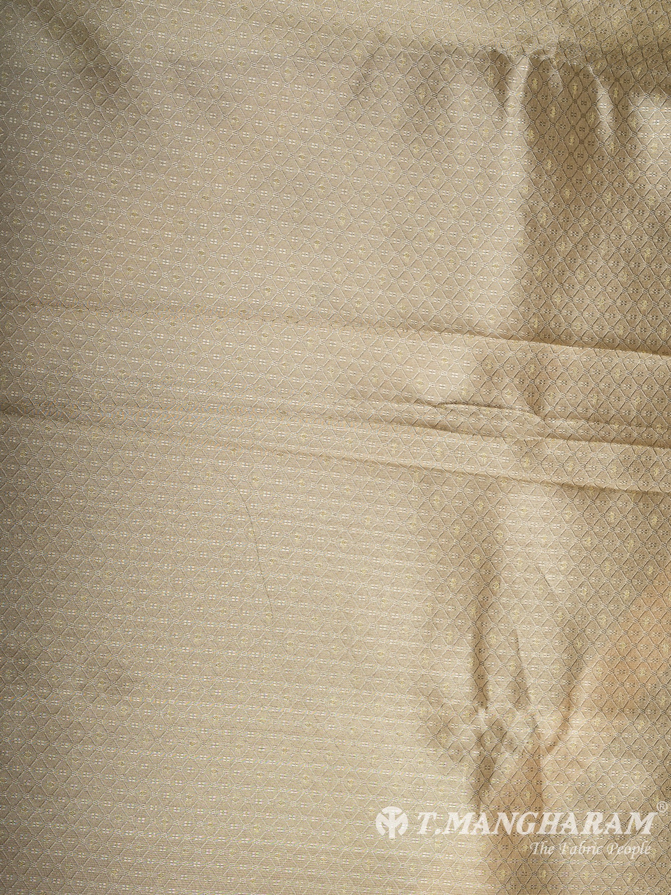 Beige Banaras Fabric - EC12058