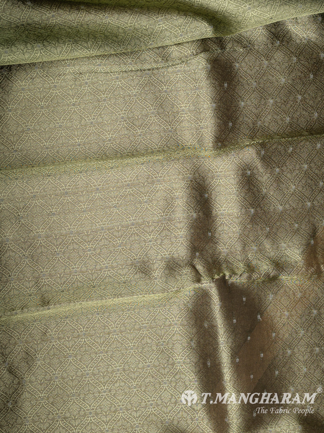 Green Banaras Fabric - EC12051