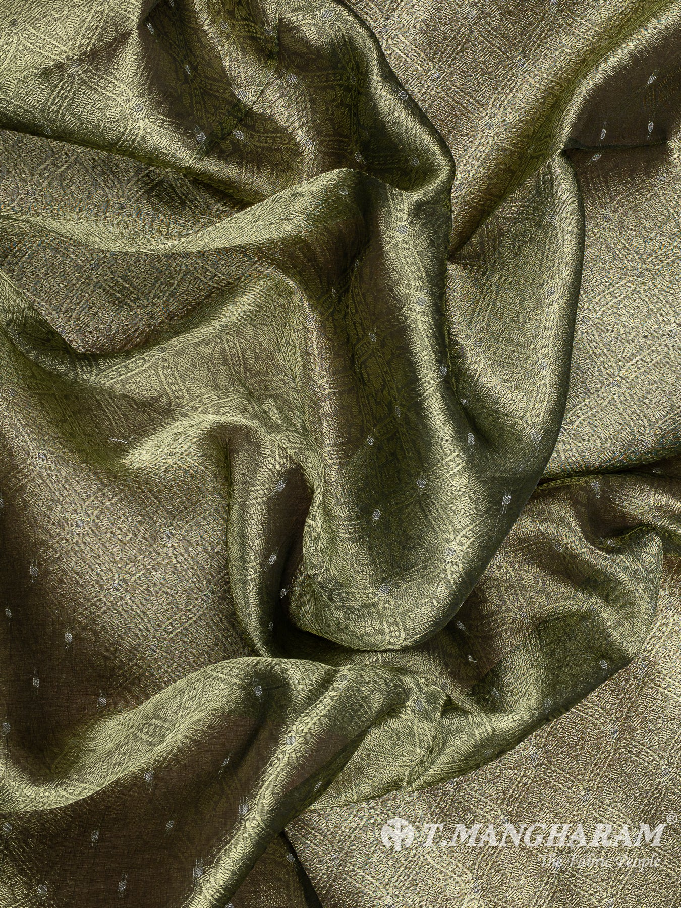 Green Banaras Fabric - EC12051