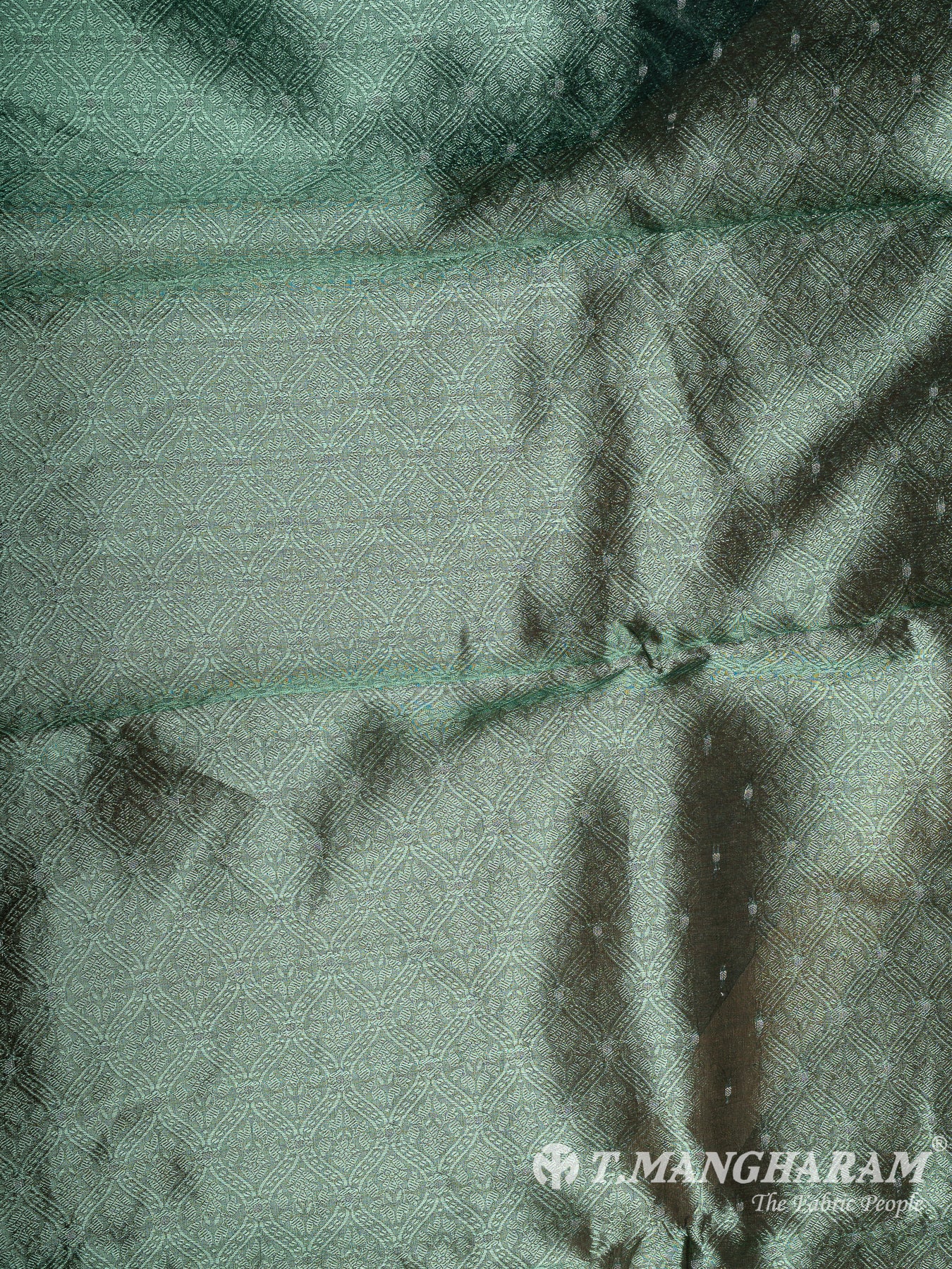 Green Banaras Fabric - EC12052