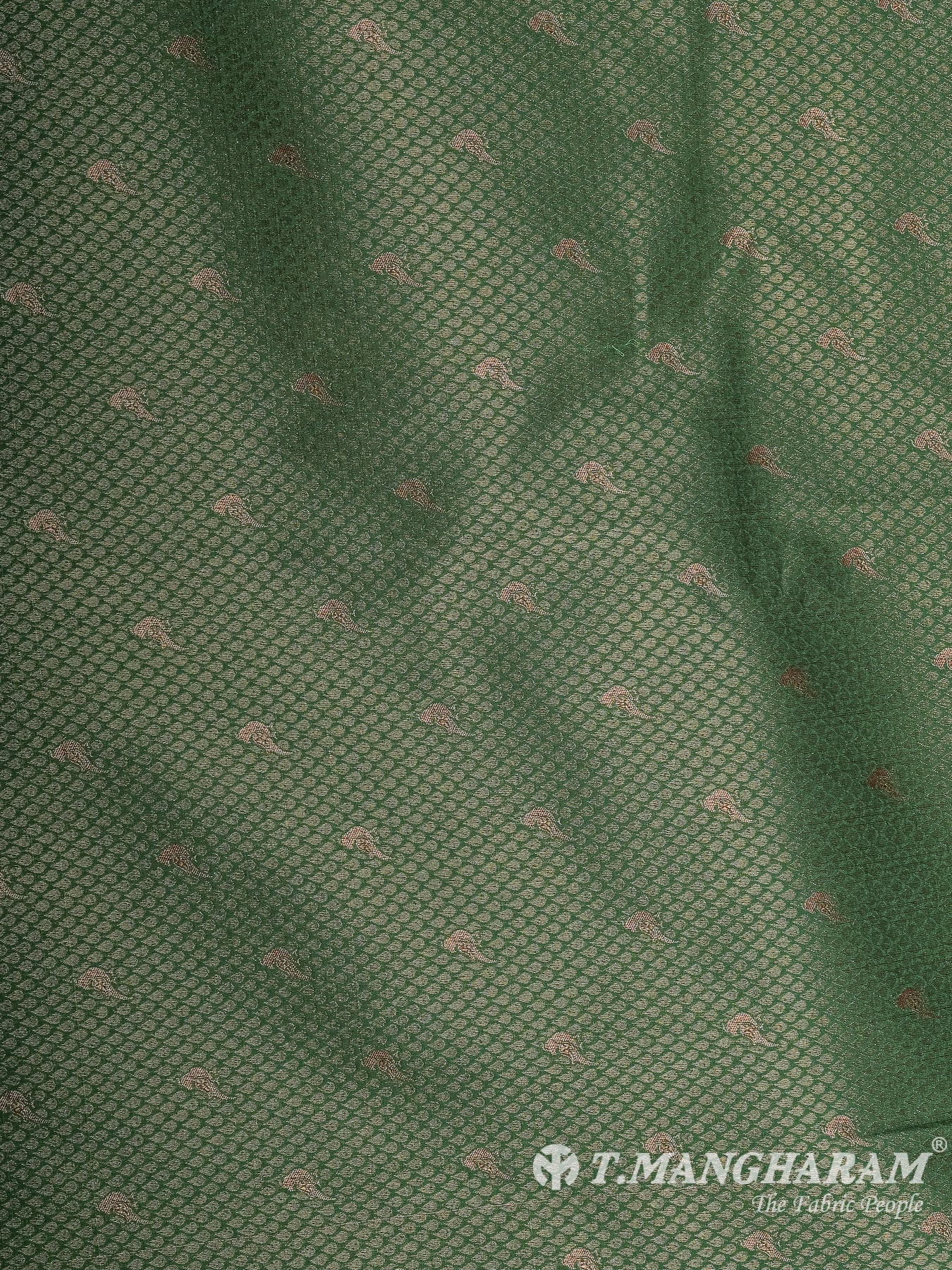 Green Banaras Fabric - EB9532