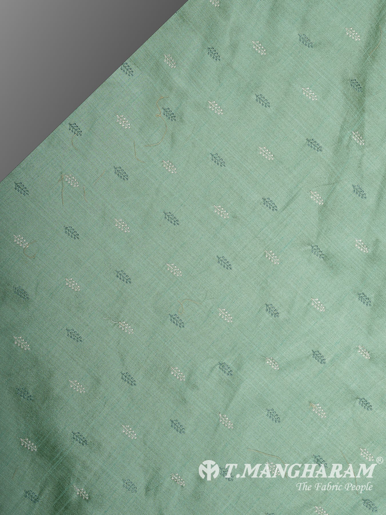 Green Semi Raw Silk Fabric - EB9732