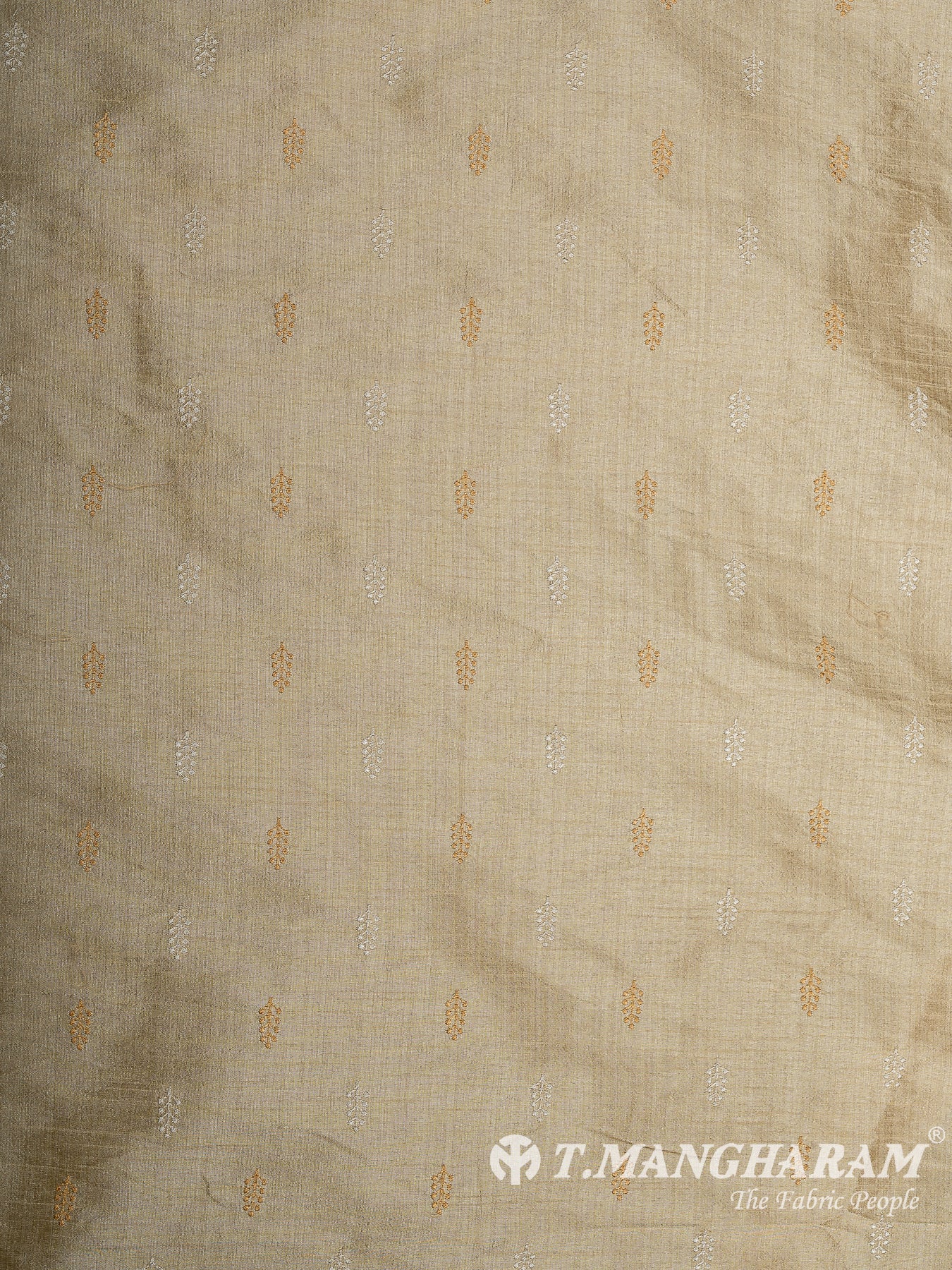 Beige Semi Raw Silk Fabric - EB9726