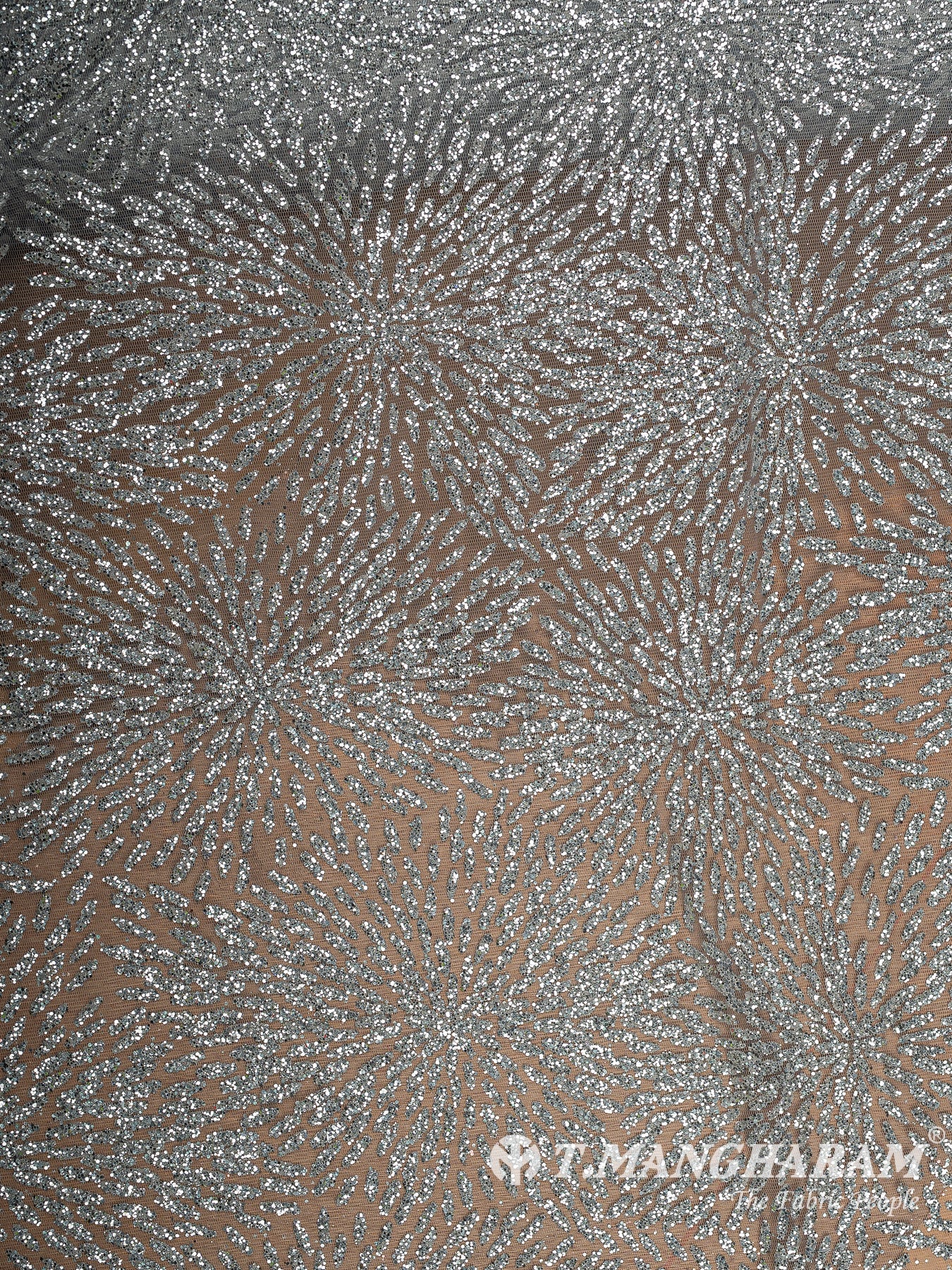 Silver Fancy Net Fabric - EC12492