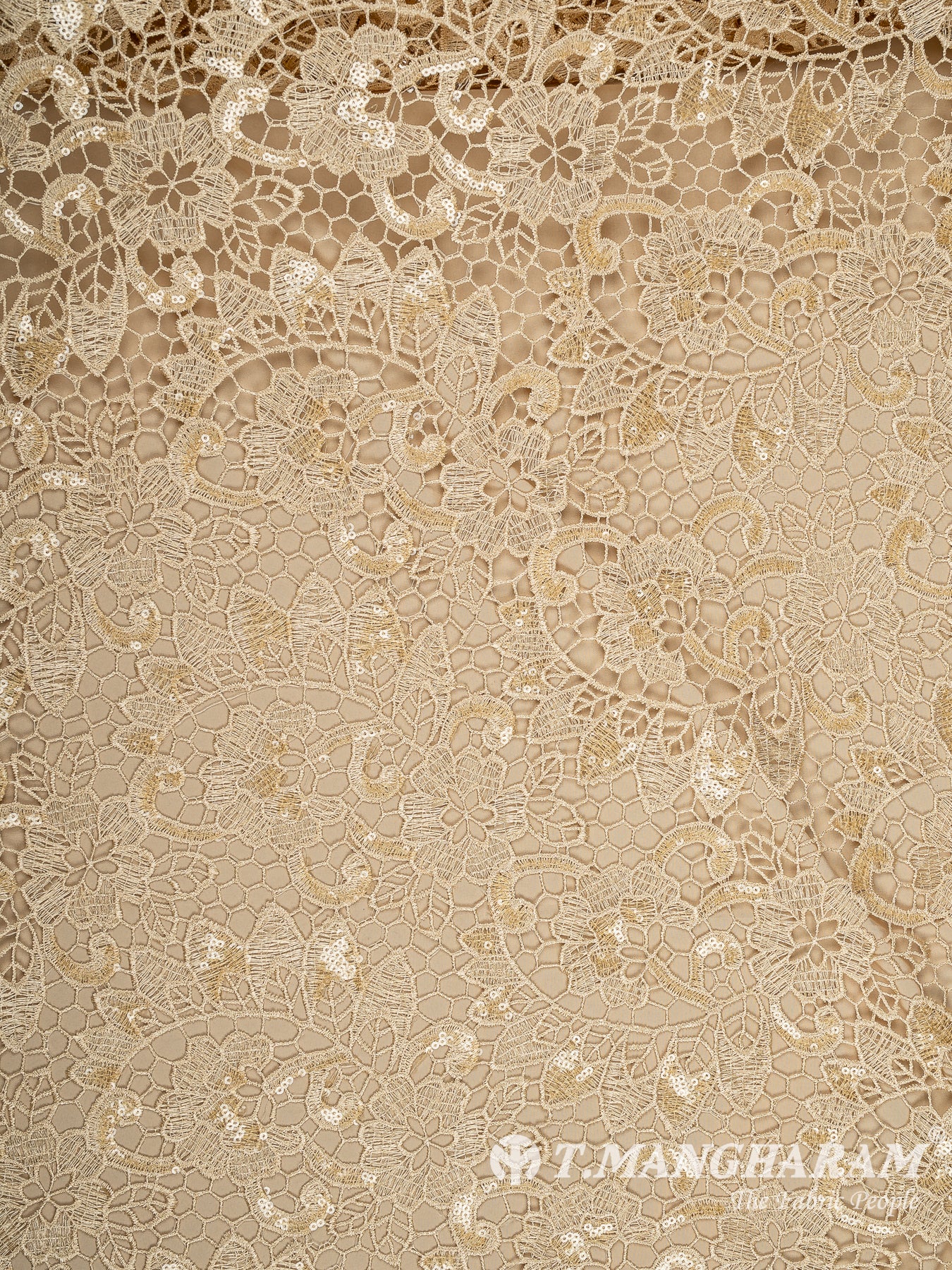 Beige Net Fabric - EC13537