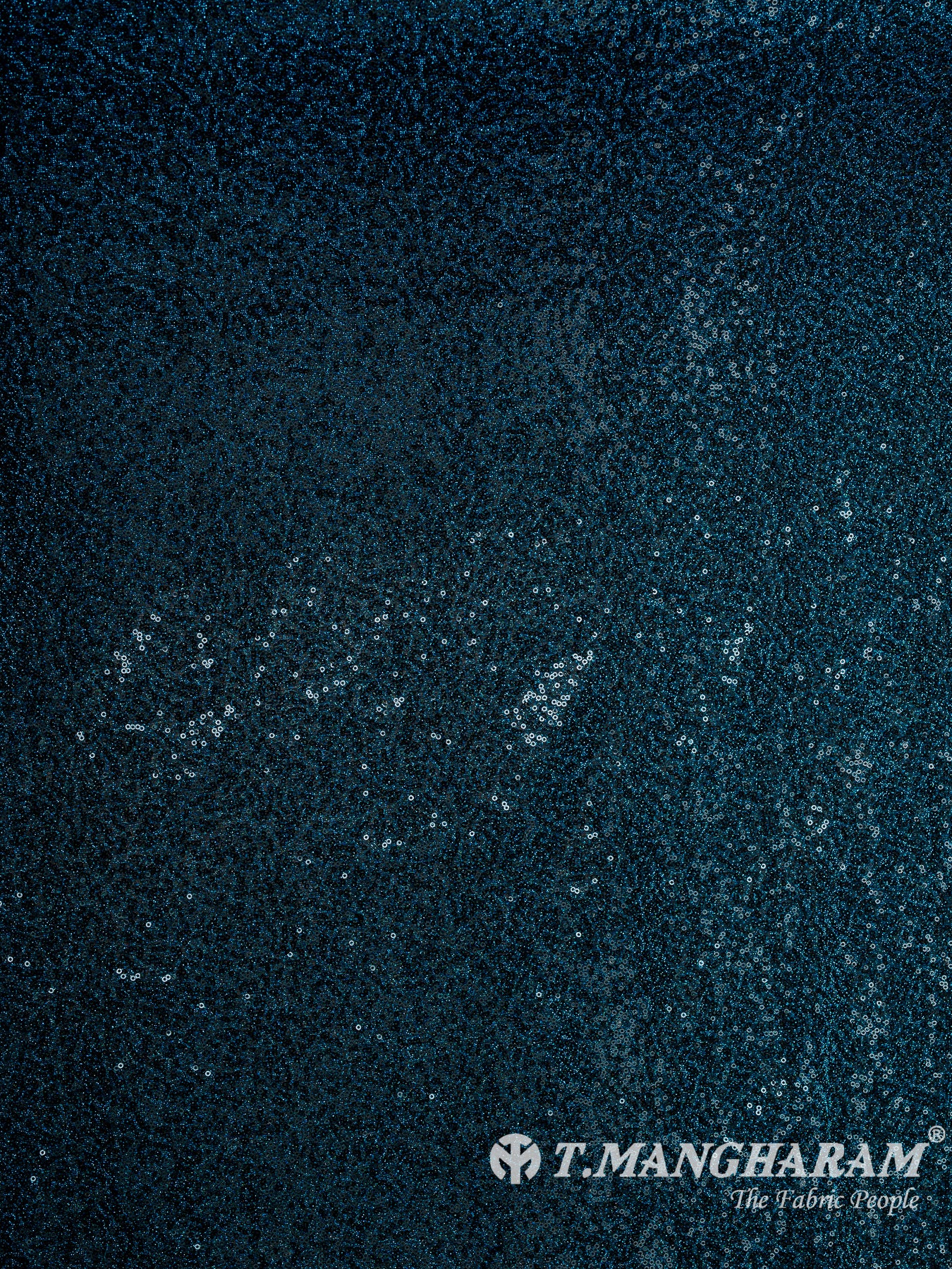 Blue Stretch Net Fabric - EB10101