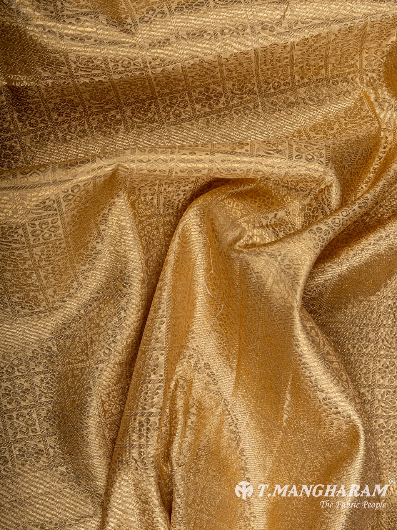 Beige Semi Banaras Fabric - EC6460 view-4