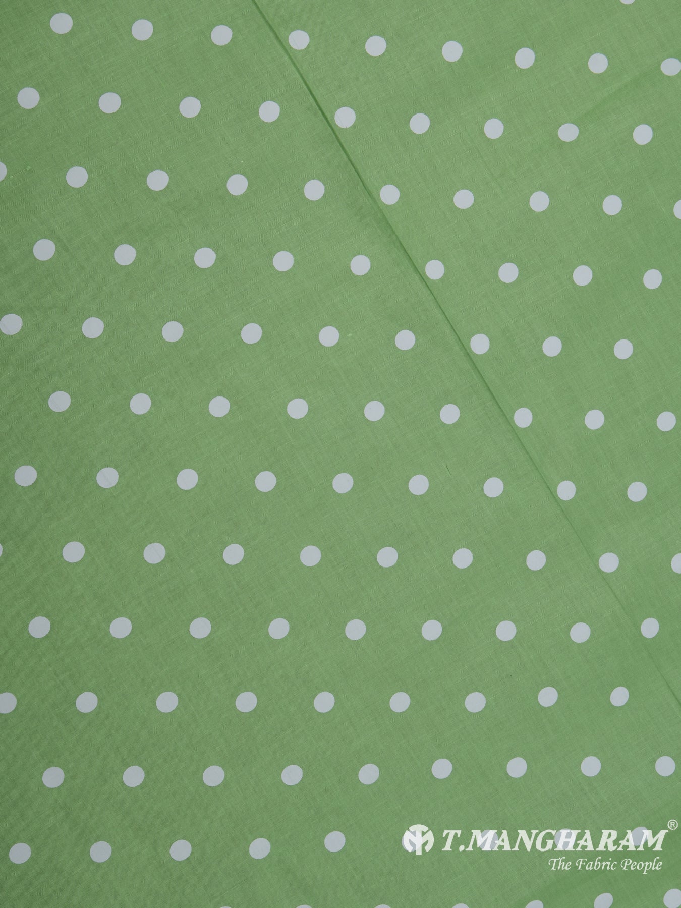 Green Cotton Fabric - EB5353 view-1