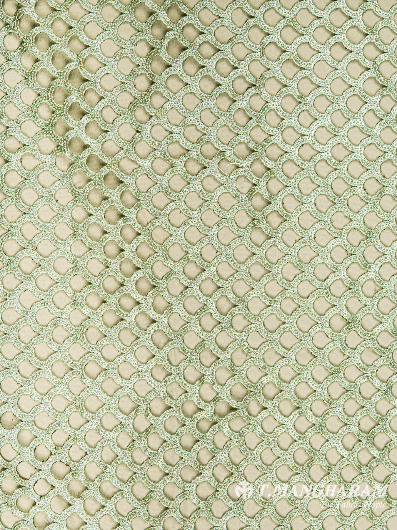 Green Fancy Georgette Fabric - EC6106 view-3