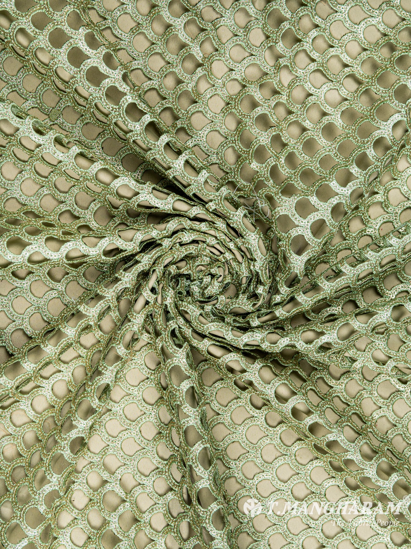 Green Fancy Georgette Fabric - EC6106 view-1
