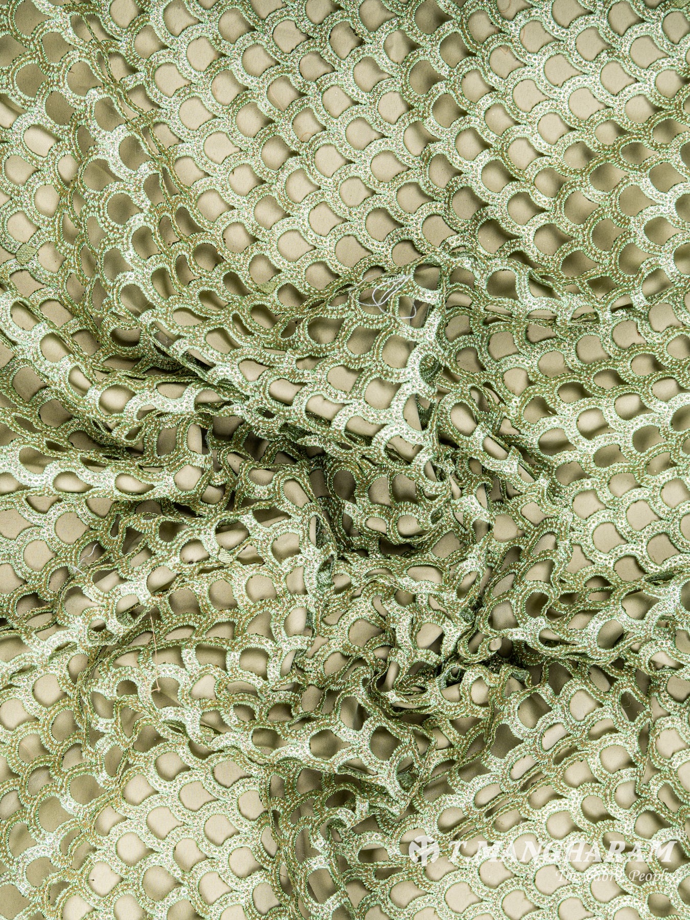 Green Fancy Georgette Fabric - EC6106 view-4