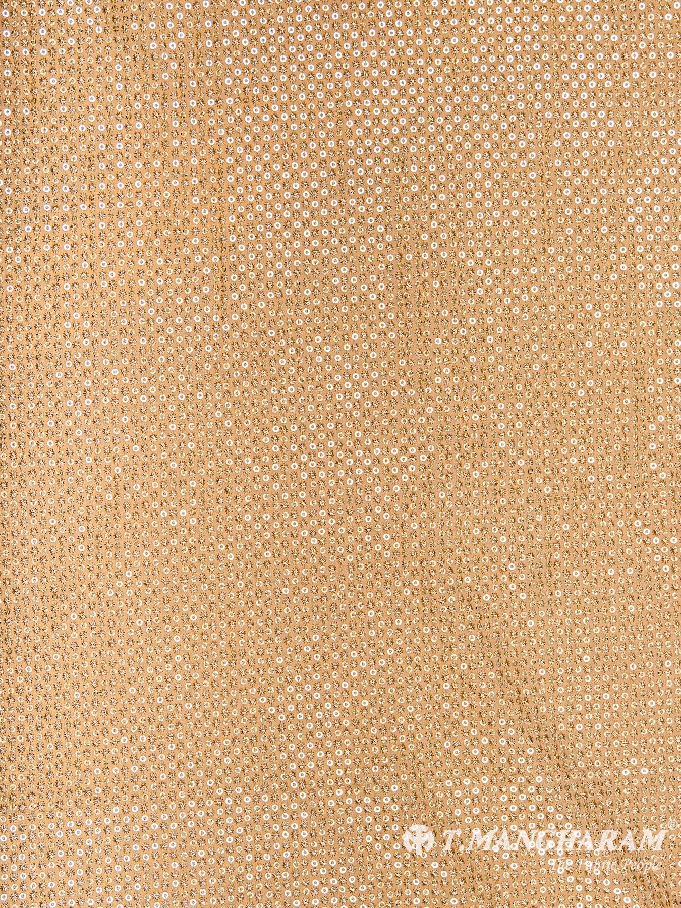 Gold Fancy Georgette Fabric - EC6103 view-3