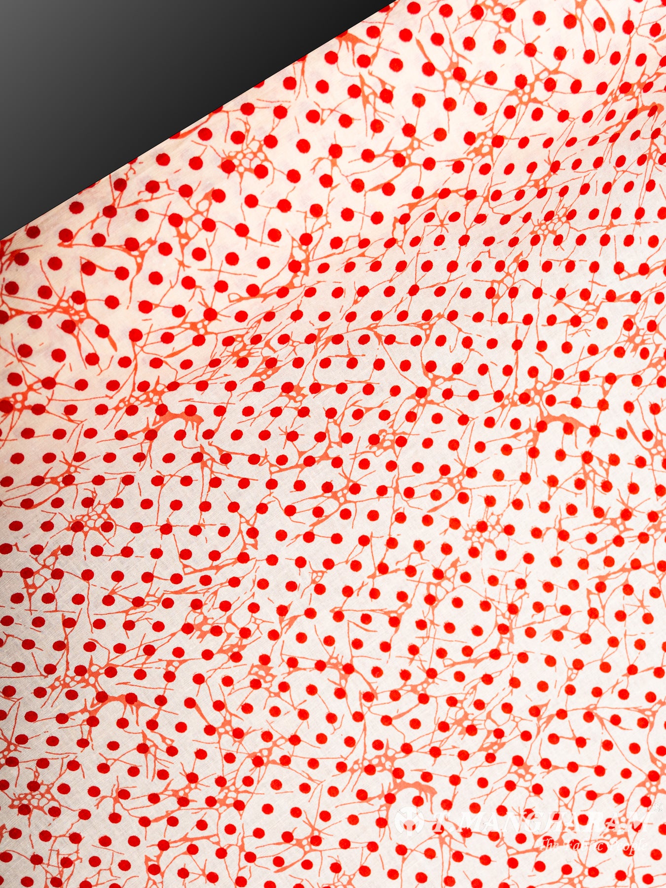 Cream Cotton Fabric - EC6076 view-2