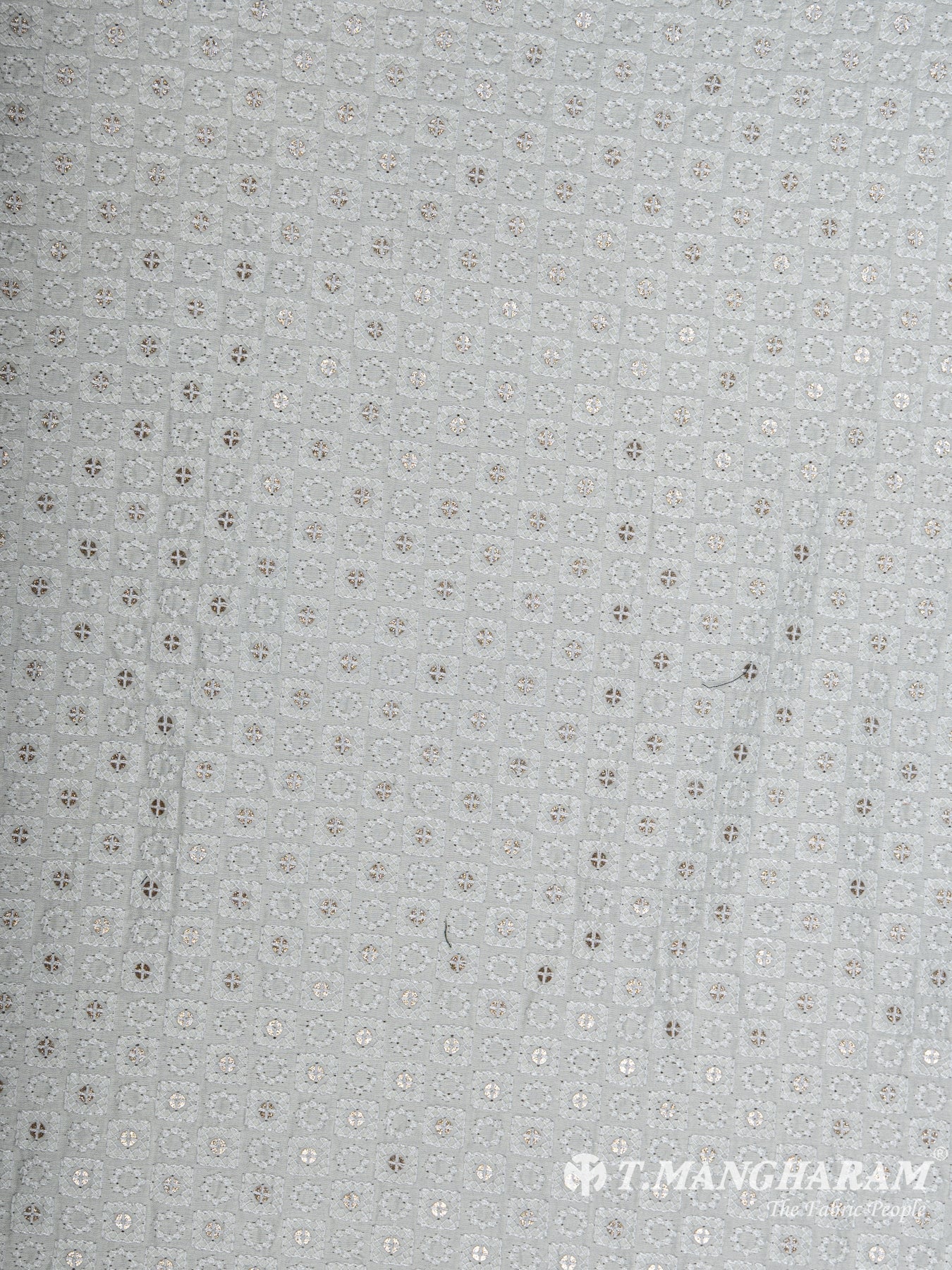 Cream Georgette Embroidery Fabric - EC6316 view-3