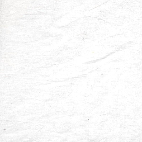 White Zari Border Cotton Fabric - EB12745 - EB12745 - Flat fabric