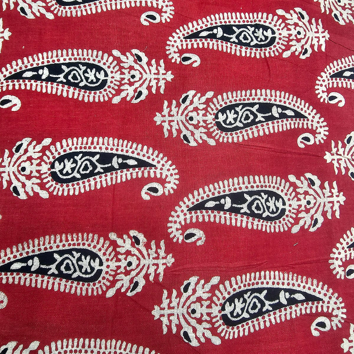 Paisley Cotton Fabric