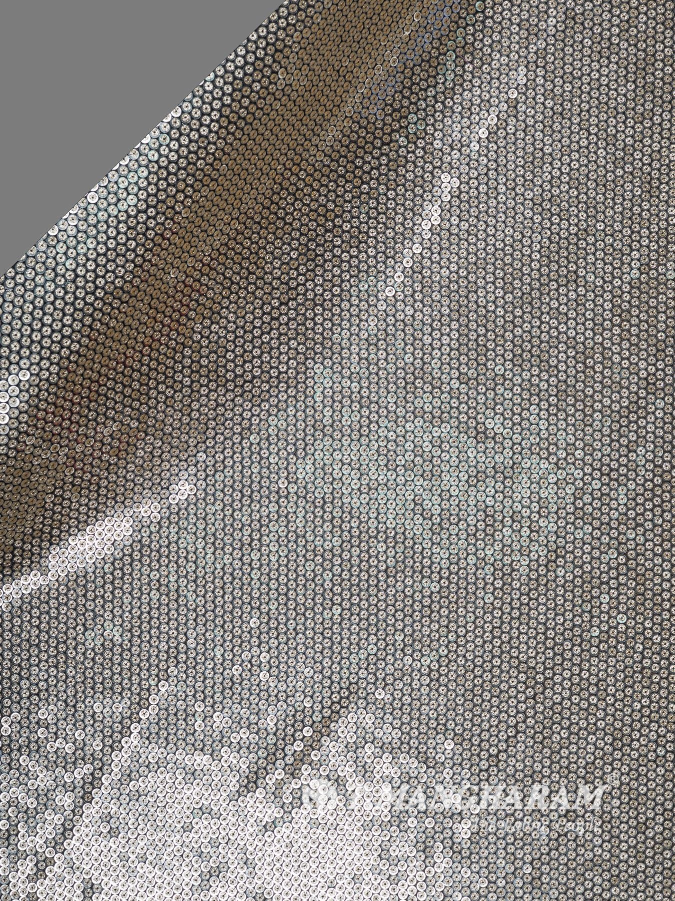 Sequin Net Fabric