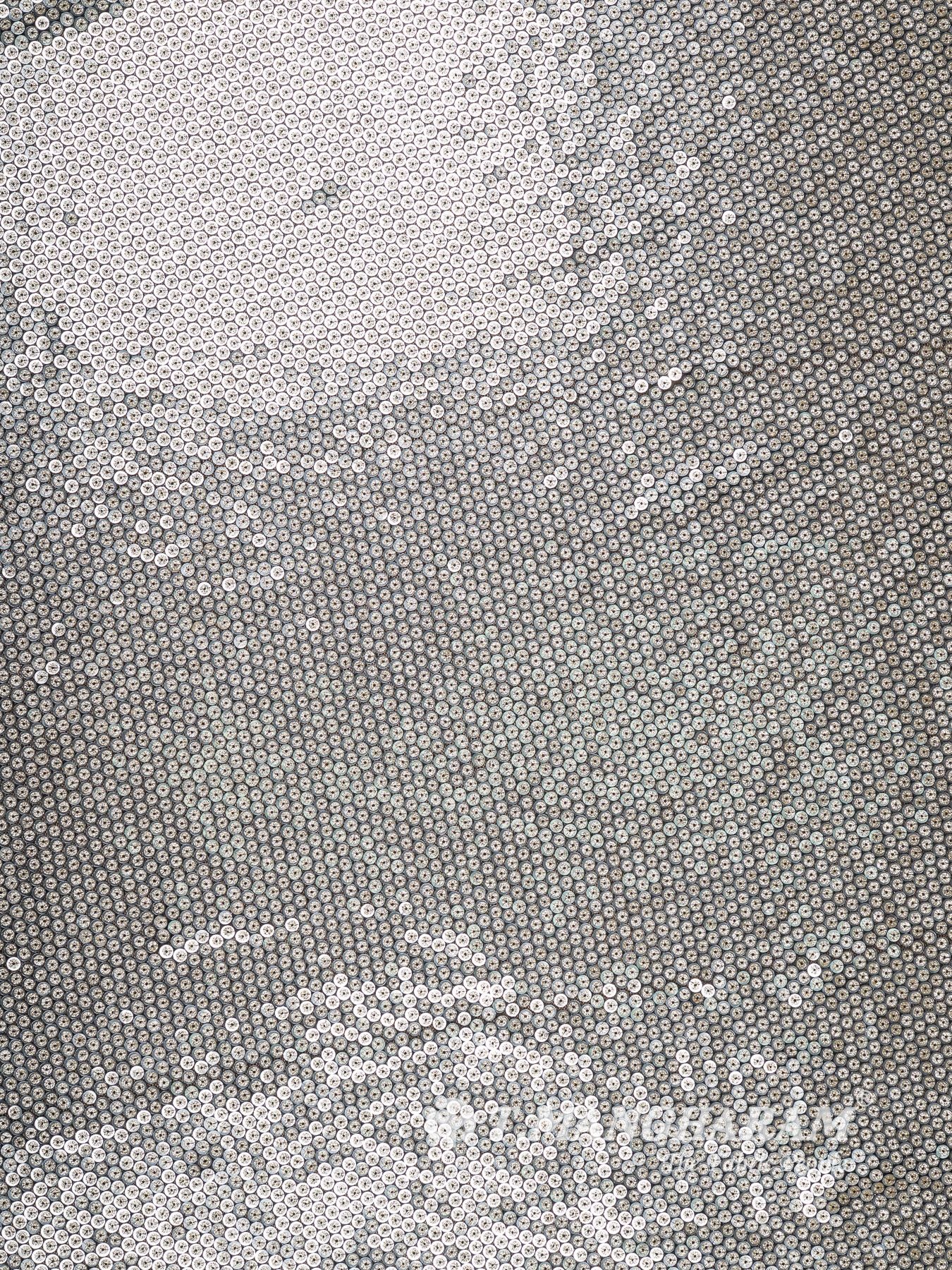 Sequin Net Fabric