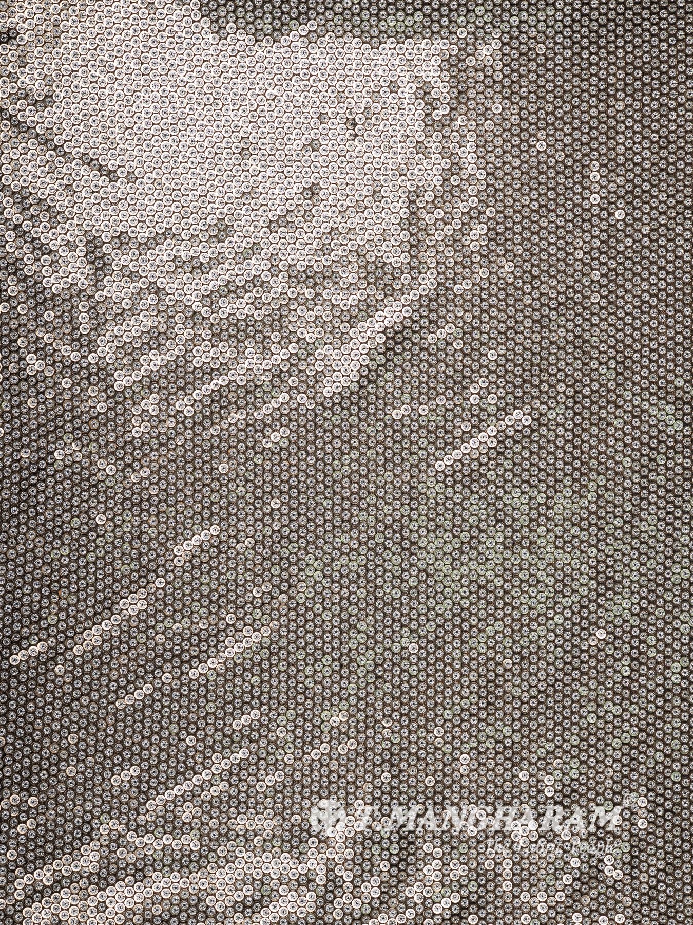 Sequin Net Fabric
