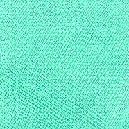 Mint Green Net Plain Net Fabric, laid flat