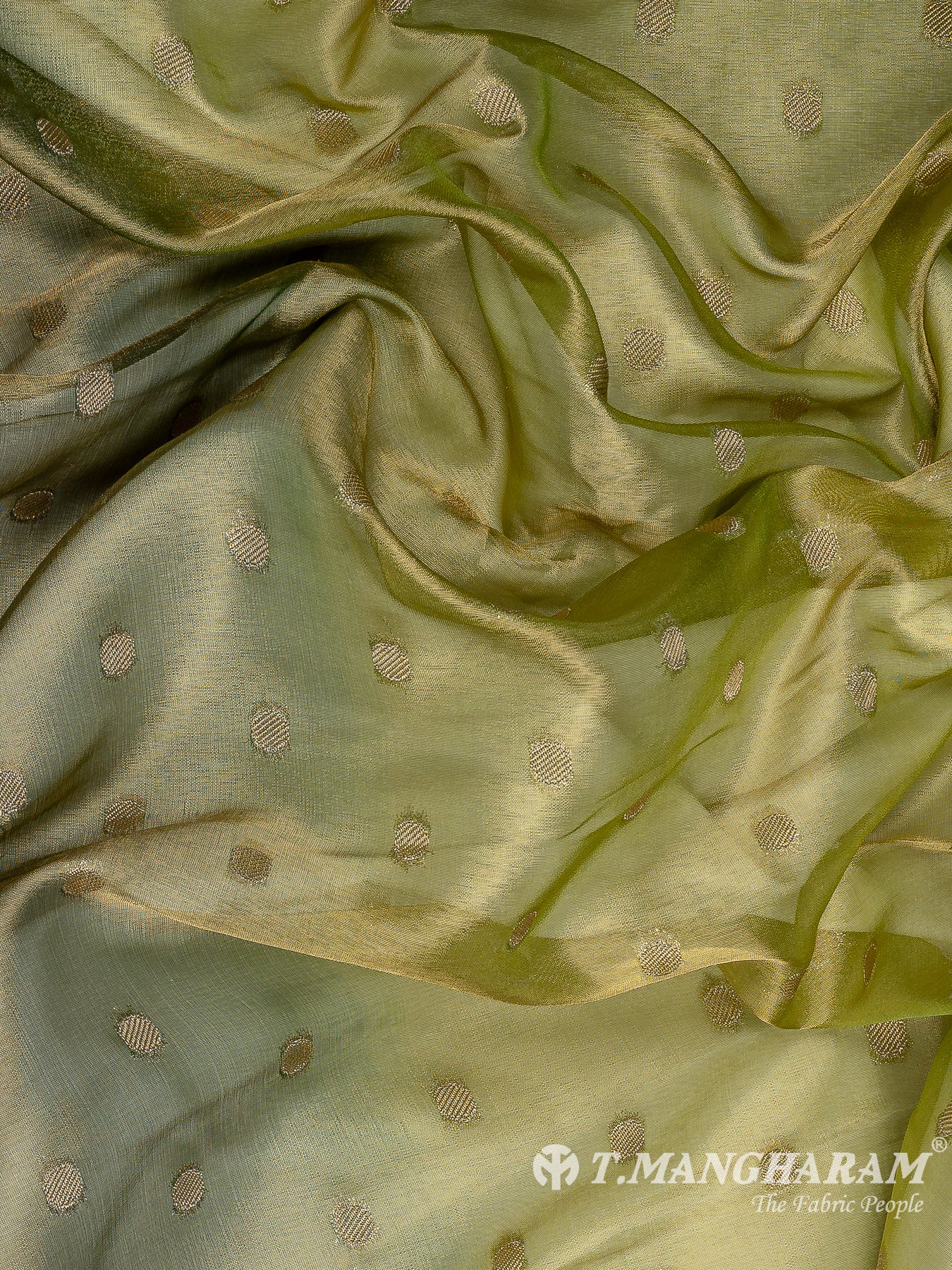 Green Semi Banaras Fabric - EB8192