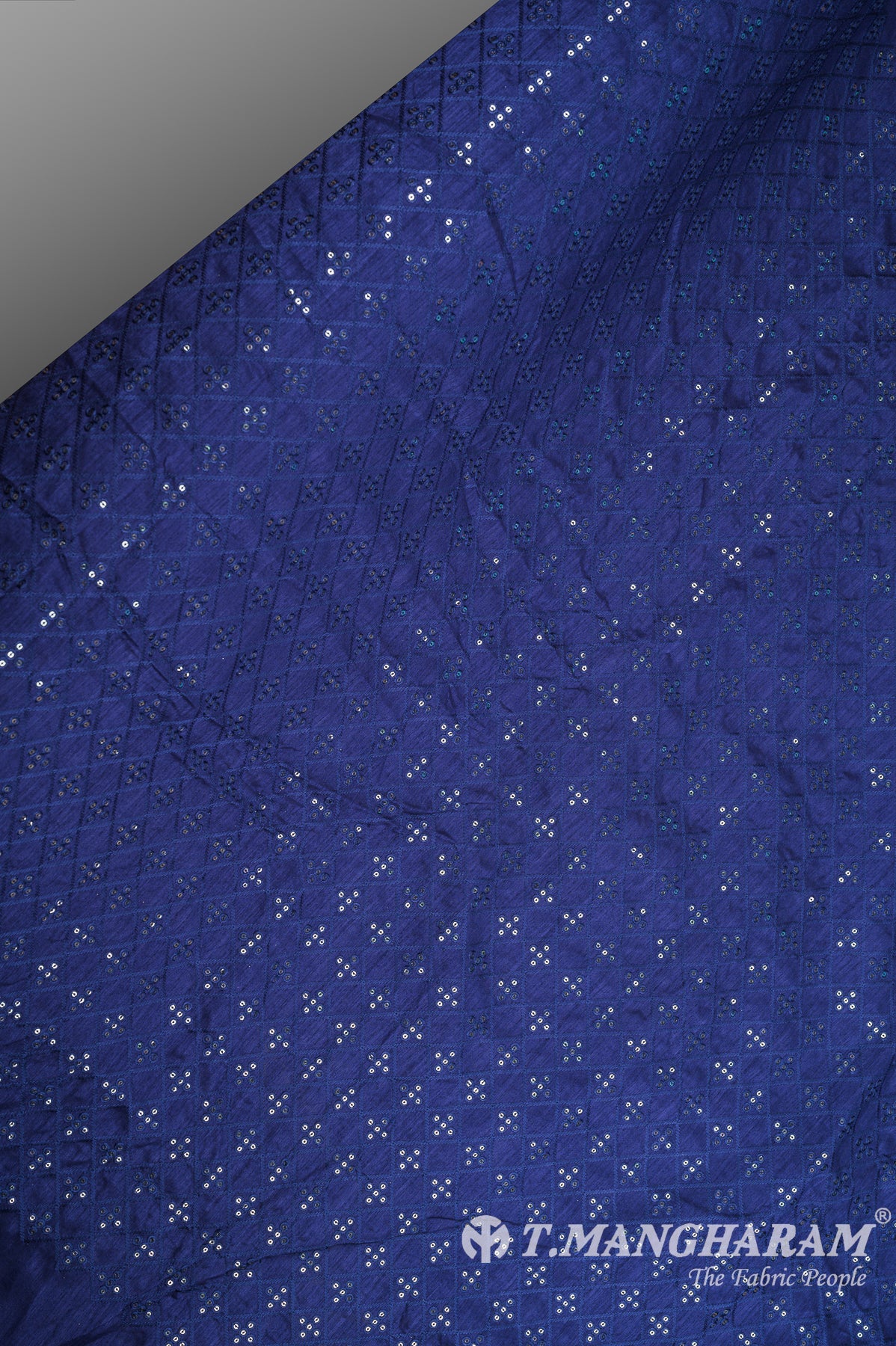 Blue Raw Silk Fabric - EB5708 view-2