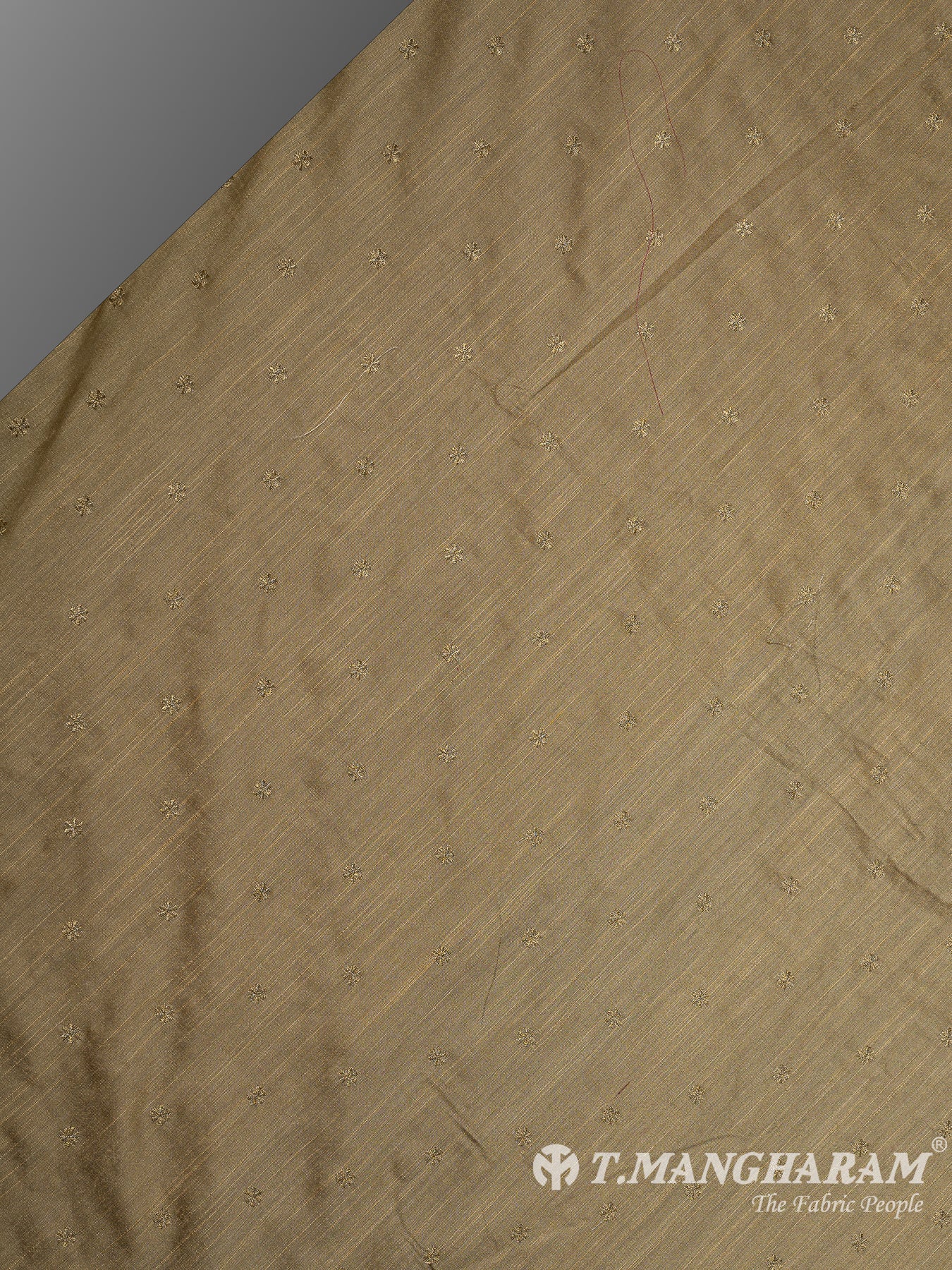 Beige Semi Banaras Fabric - EB7283 view-2