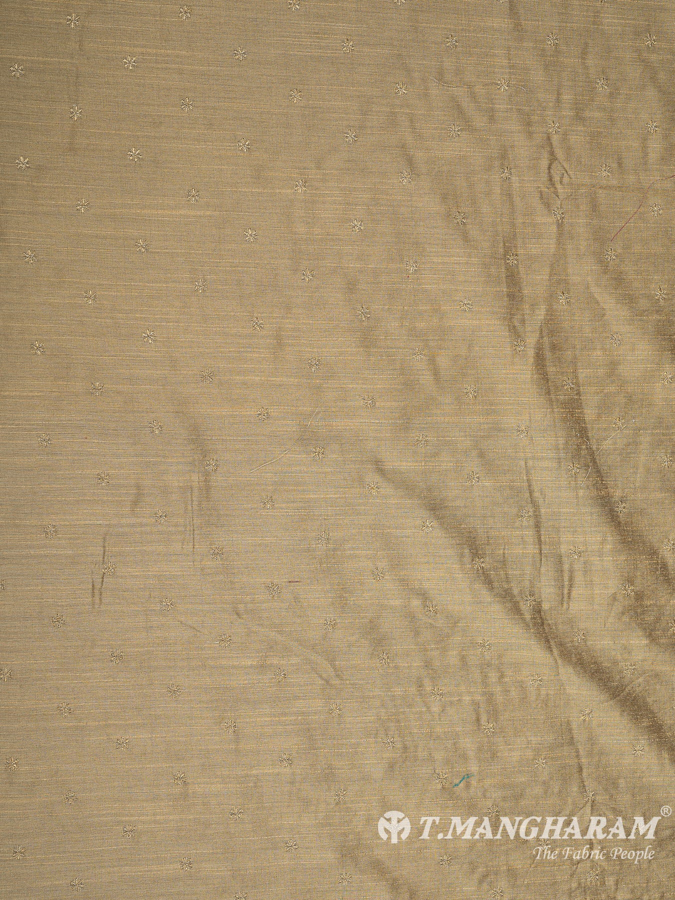 Beige Semi Banaras Fabric - EB7283 view-3