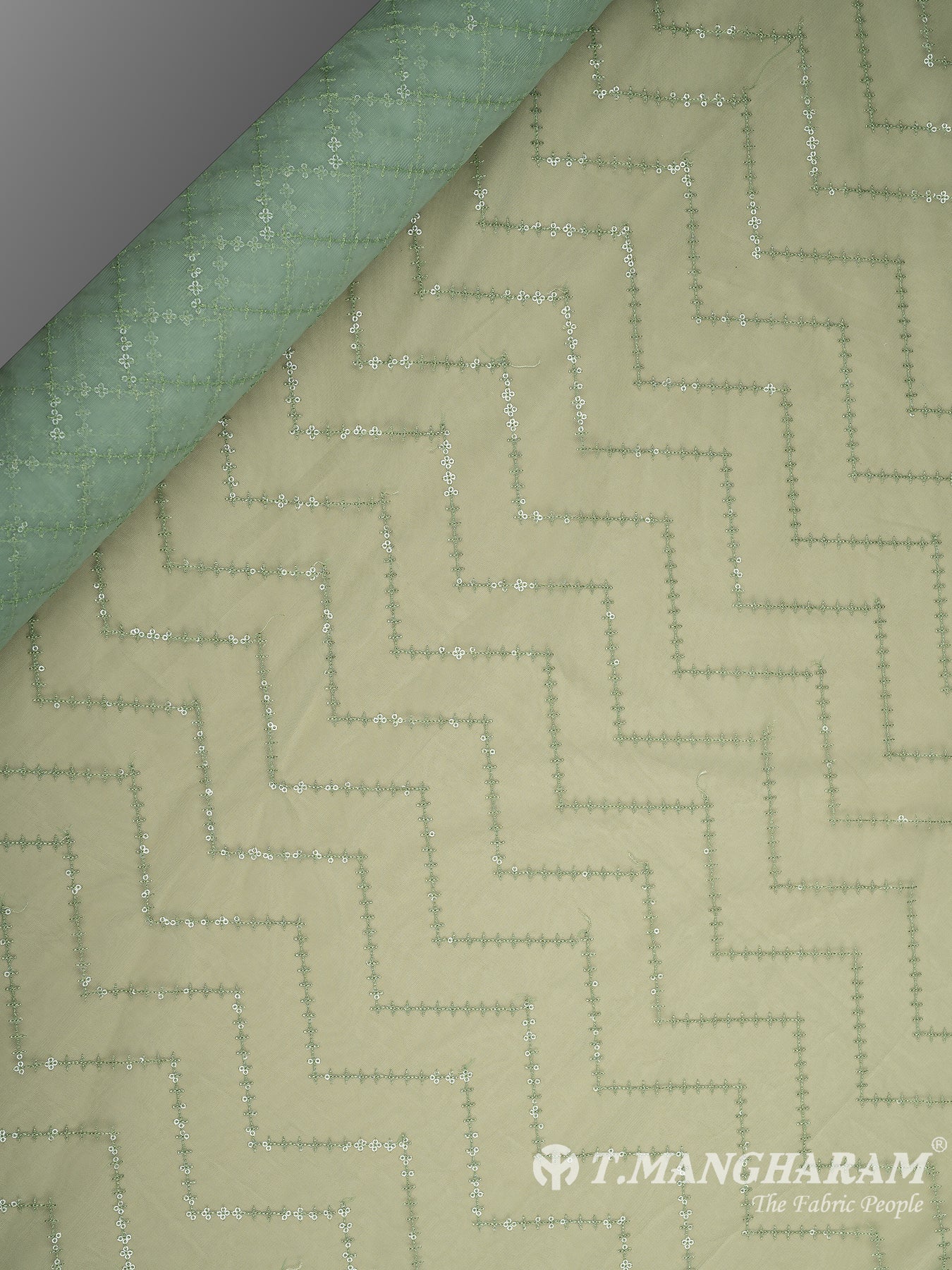 Green Fancy Net Fabric - EB7366 view-2