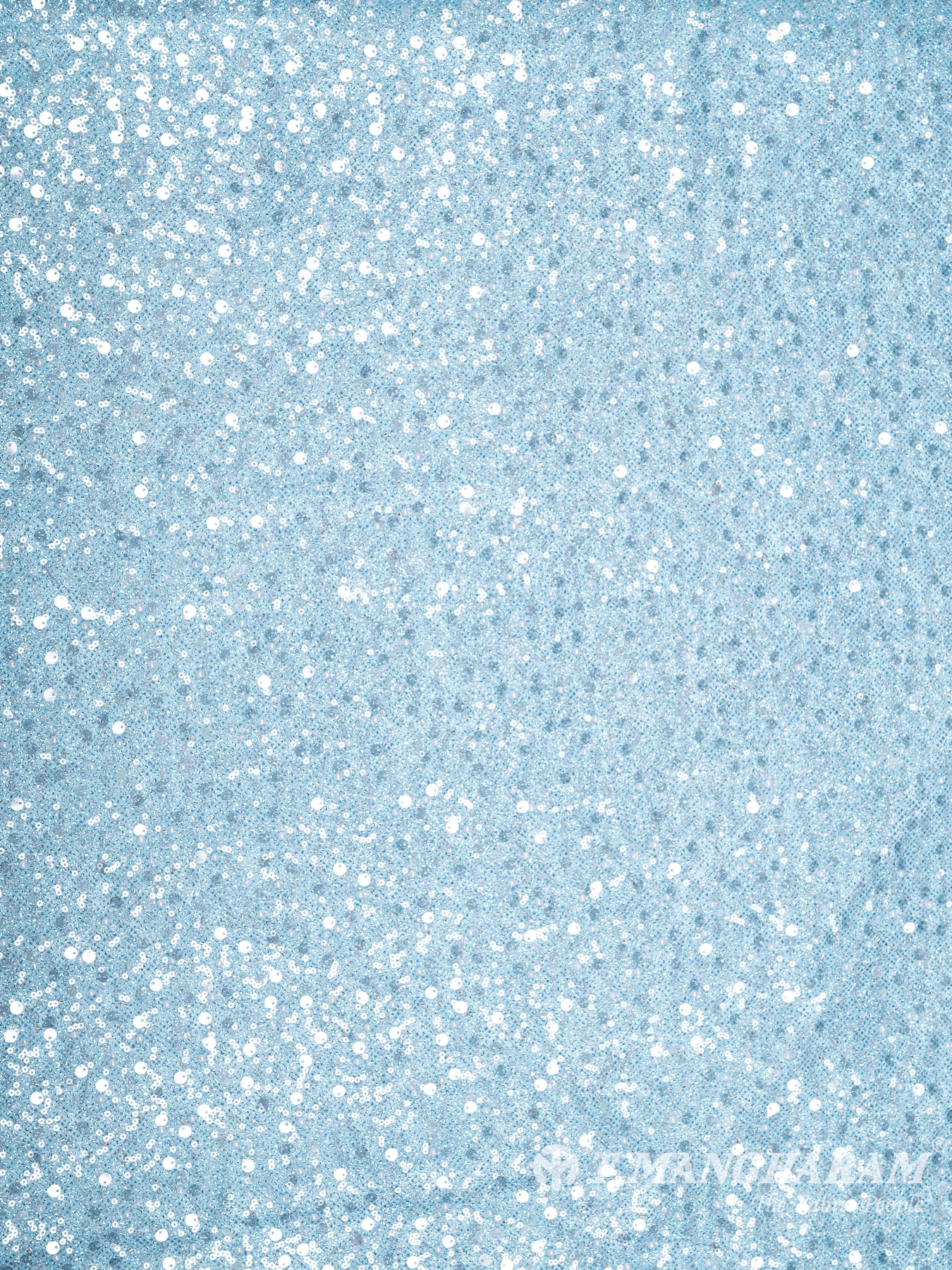 Blue Fancy Net Fabric - EB6164 view-3
