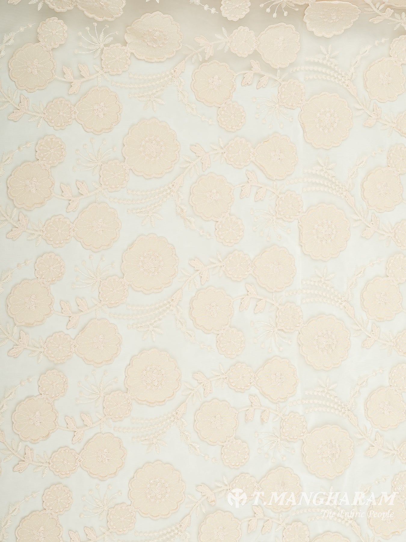 Beige Net Embroidery Fabric - EB6561