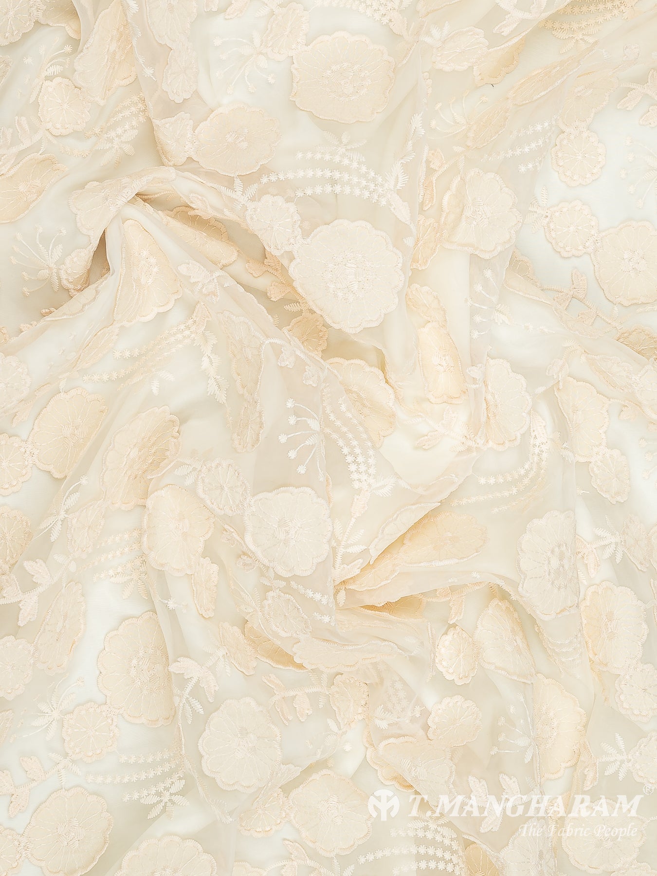 Beige Net Embroidery Fabric - EB6561