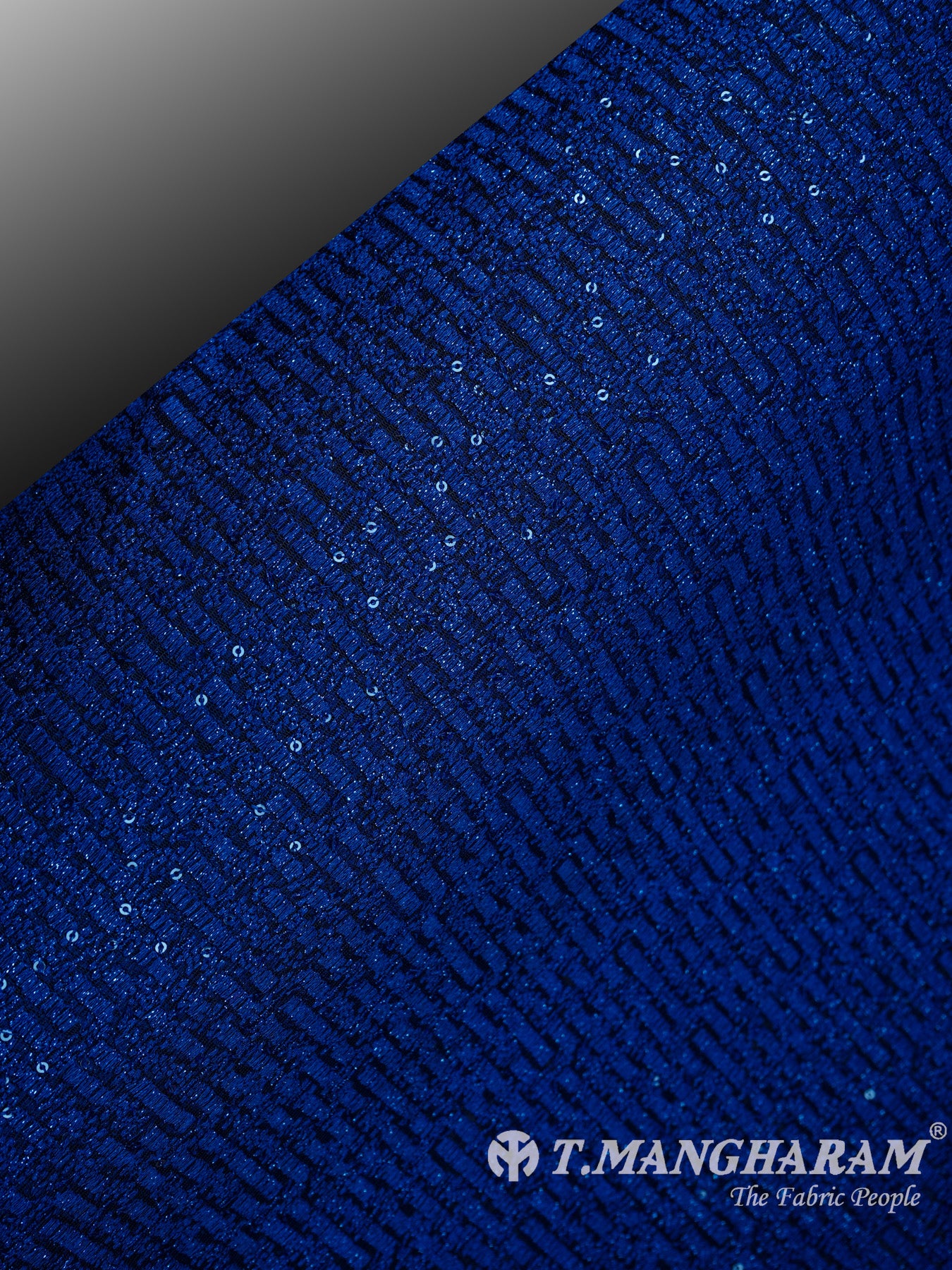 Blue Fancy Net Fabric - EA1864 view-2